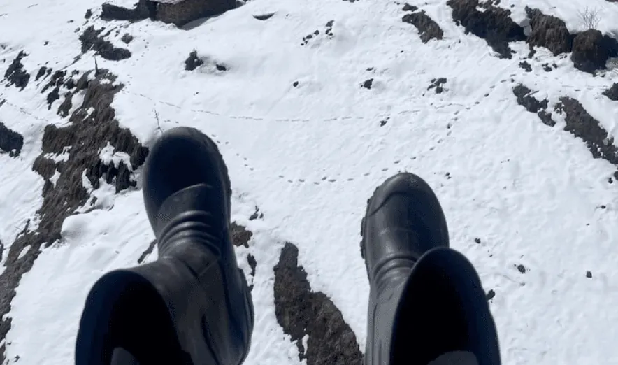 Looking down at a pair of rubber boots on untracked snow, animal prints running past